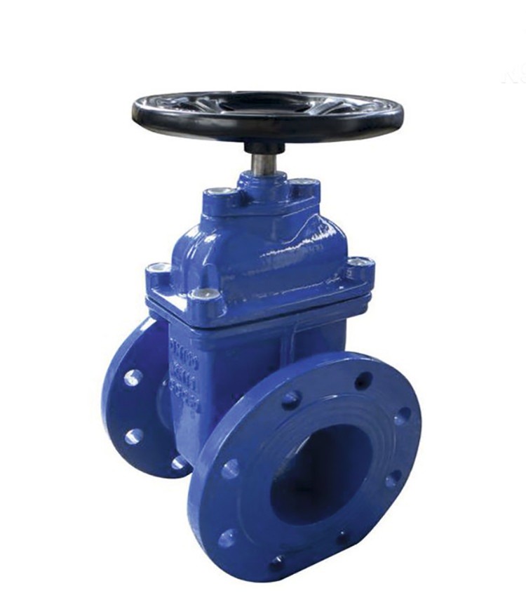 Задвижка ДУ 80 чугун (30ч39р) с обрезиненным клином